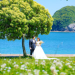 結の浜マリンパークで前撮り。
MAEDORU!とは、長崎県最大級3000着以上の衣装から選べる前撮り専門店。衣装着放題・ロケ行き放題・持ち込み自由挙式当日衣装無料提供。
お好きな場所・思い出の場所・季節よってお好き場所をtチョイスしてください 長崎県のフォトウェディング、前撮り専門店 お宮参り・マタニティー・七五三・成人式撮影